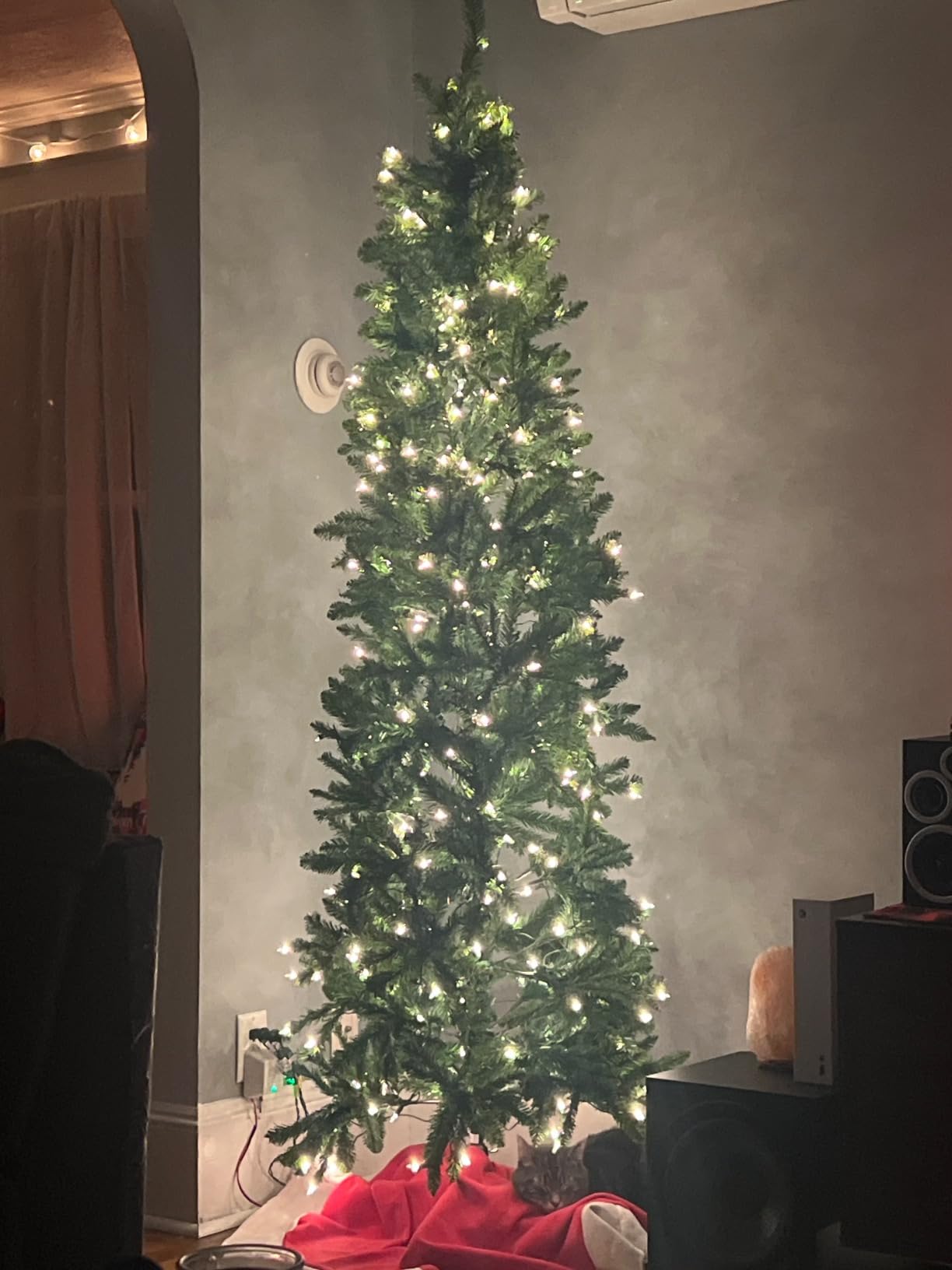 National Tree Company 7 ft Pre-Lit Kingswood Fir Slim Artificial Christmas Tree, 300 Warm White LED Lights, 892 Tips, Includes Stand, Green customer photo 2