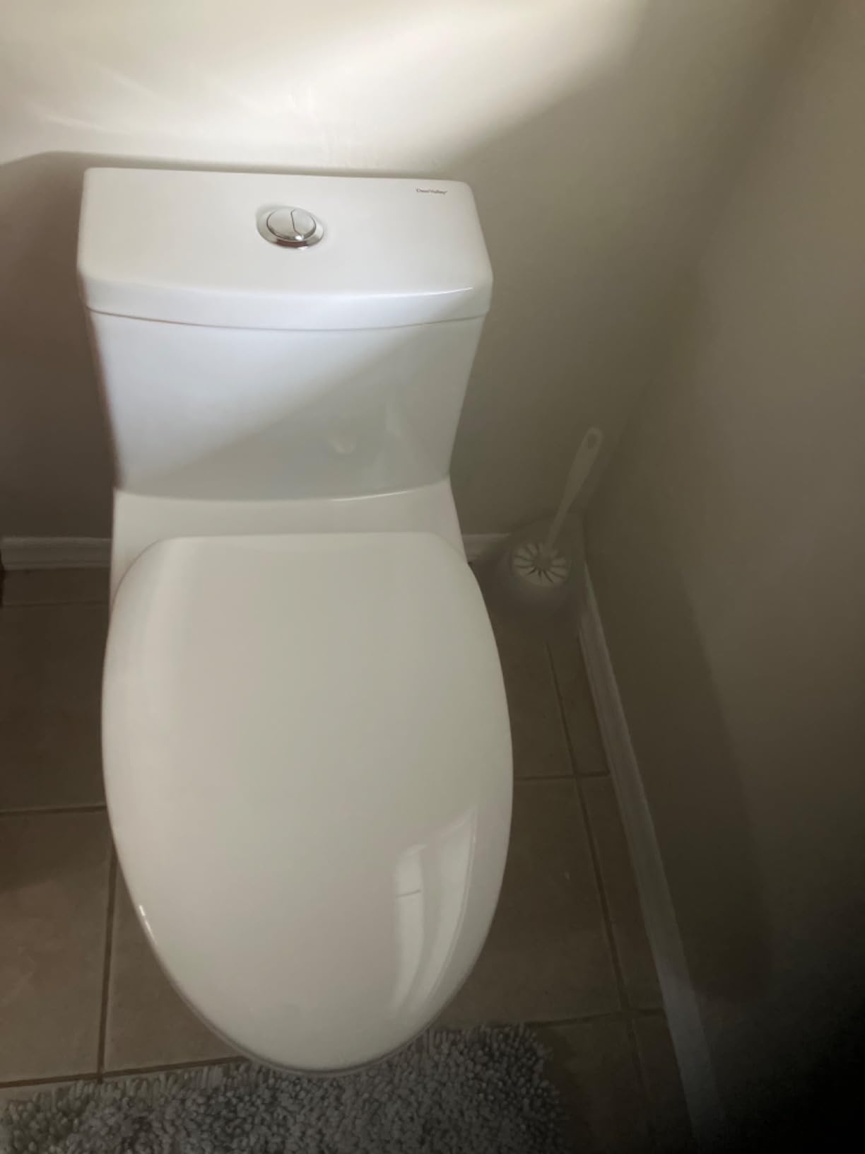 DeerValley Elongated One Piece Toilet with Efficient Dual Flush 1.1/1.6 GPF customer photo 1