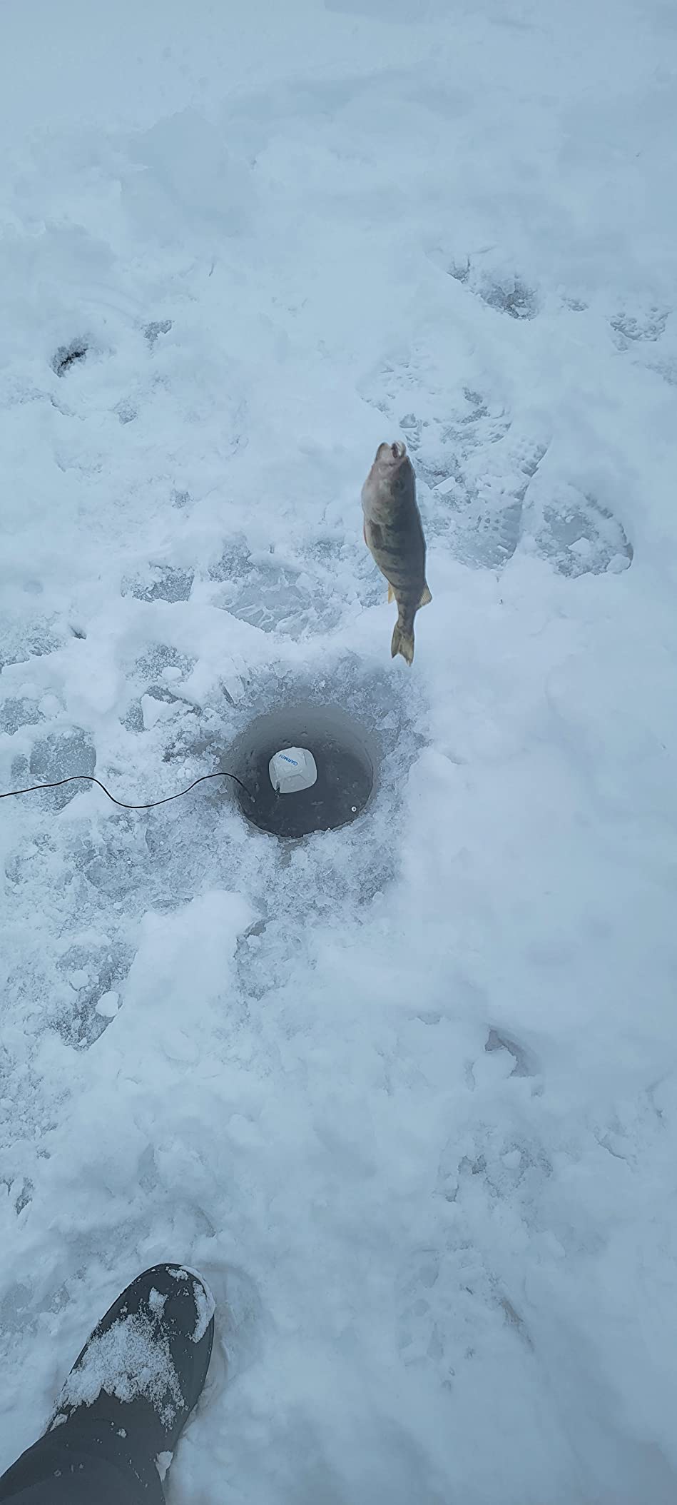 Garmin Striker Cast, Castable Sonar, Pair with Mobile Device and Cast from Anywhere, Reel in to Locate and Display Fish on Smartphone or Tablet (010-02246-00) customer photo 1