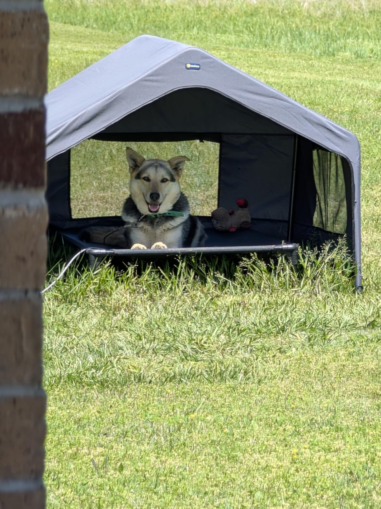 Veehoo Extra Large Dog House Outdoor Includes Elevated Dog Bed-Weatherproof, Waterproof Outside Dog Tent 4.1' x 4.1' x 3.3', Dog Shade Shelter and Raised Bed Combo for Pets or Stray Animals, Grey customer photo 1