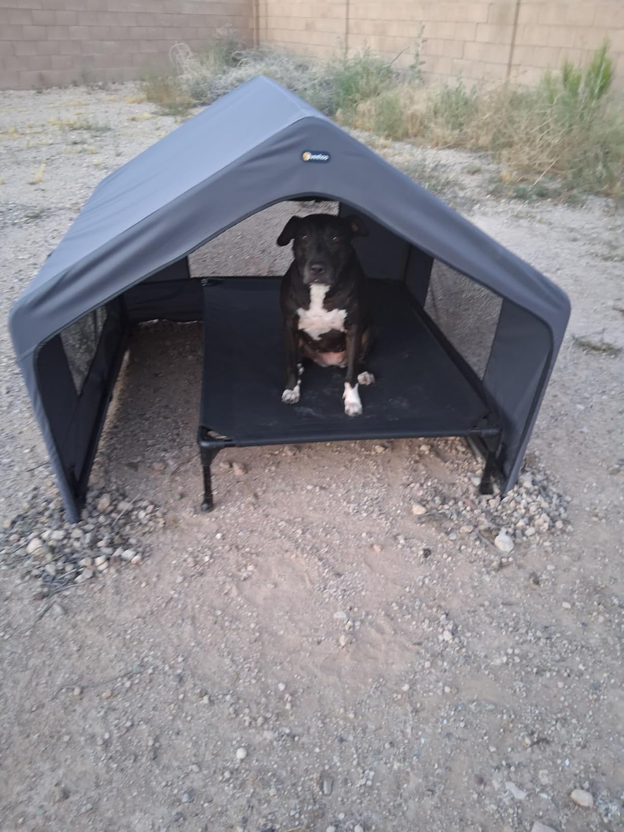Veehoo Extra Large Dog House Outdoor Includes Elevated Dog Bed-Weatherproof, Waterproof Outside Dog Tent 4.1' x 4.1' x 3.3', Dog Shade Shelter and Raised Bed Combo for Pets or Stray Animals, Grey customer photo 2